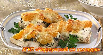 Перейти к материалу