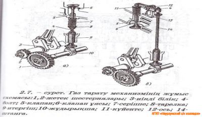 Перейти к материалу